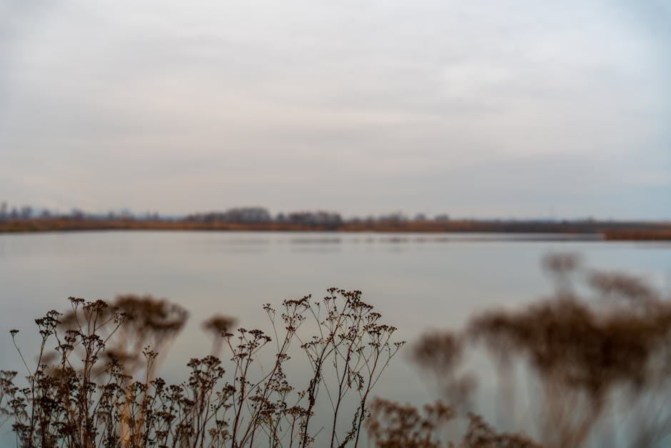 Kamu Termasuk? 7 Kebiasaan Sehari-hari yang Bisa Bikin Umur Lebih Pendek!